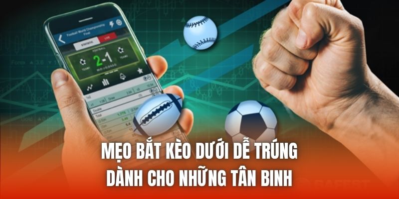 Mẹo Bắt Kèo Dưới Dễ Trúng Dành Cho Những Tân Binh