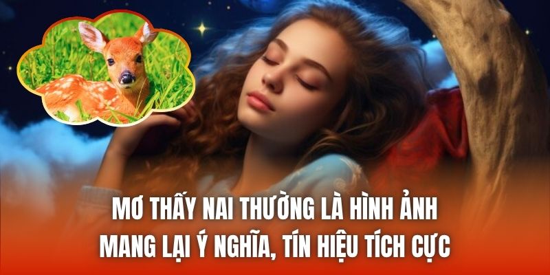 Mơ thấy nai thường là hình ảnh mang lại ý nghĩa, tín hiệu tích cực
