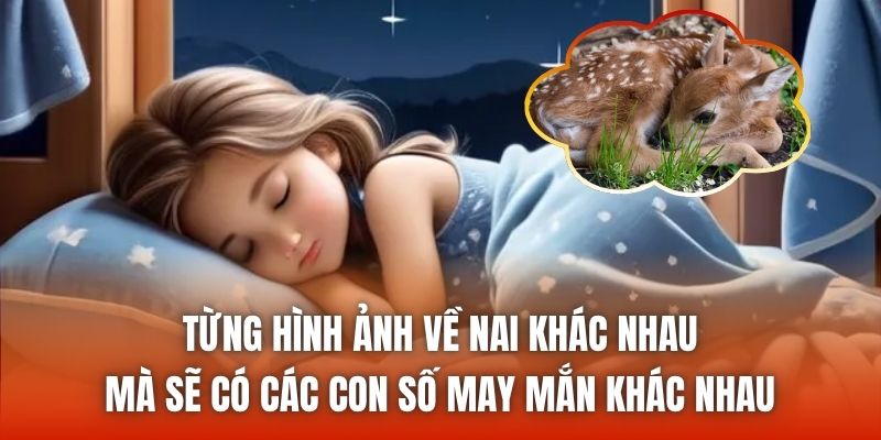 Từng hình ảnh về nai khác nhau mà sẽ có các con số may mắn khác nhau