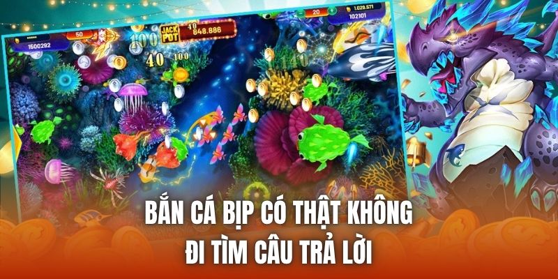 Bắn Cá Bịp Có Thật Không | Đi Tìm Câu Trả Lời