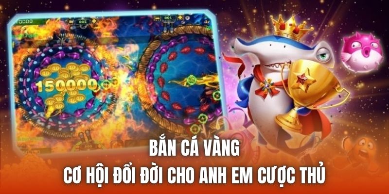Bắn Cá Vàng | Cơ Hội Đổi Đời Cho Anh Em Cược Thủ