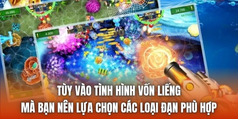 Tùy vào tình hình vốn liếng mà bạn nên lựa chọn các loại đạn phù hợp